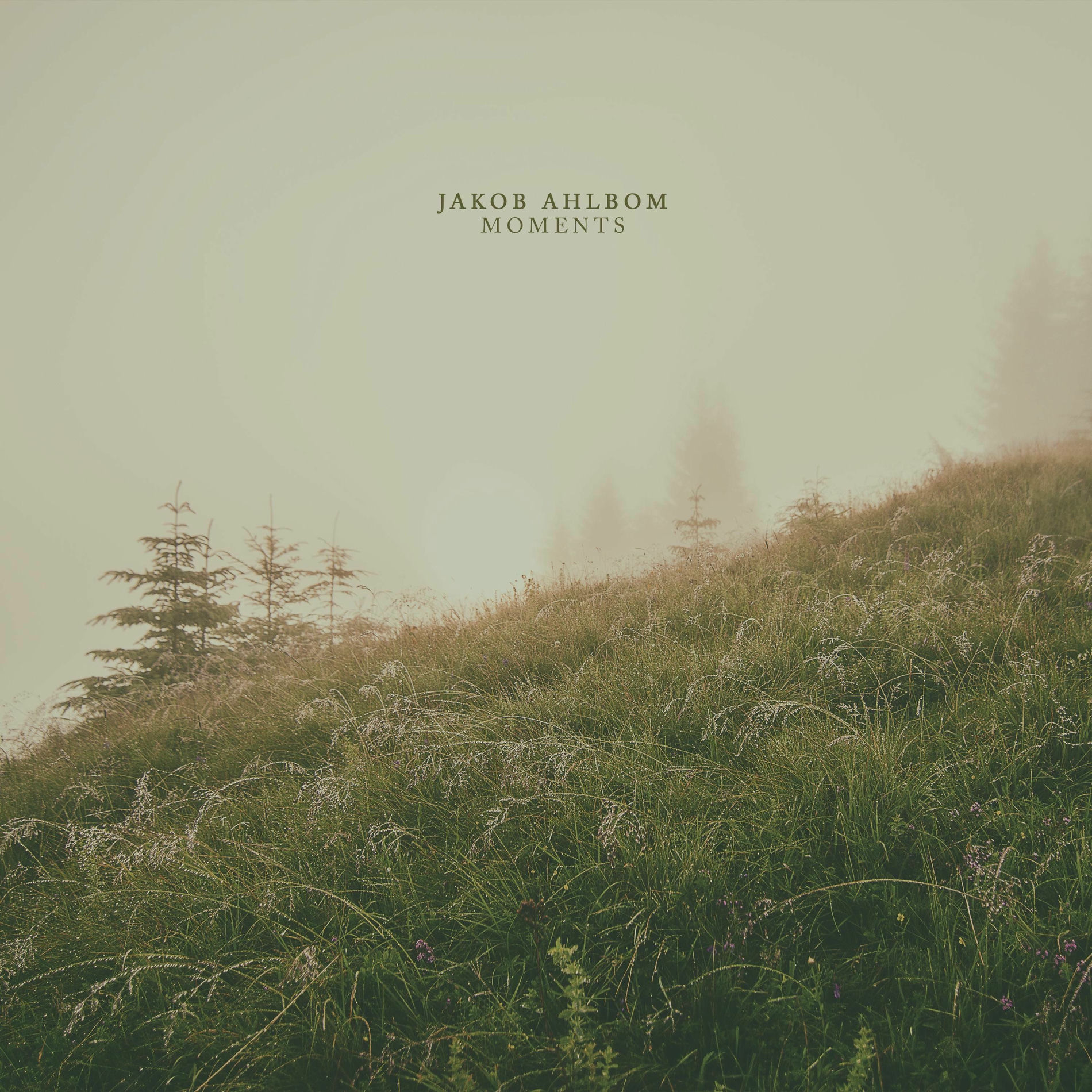 Album cover of Moments