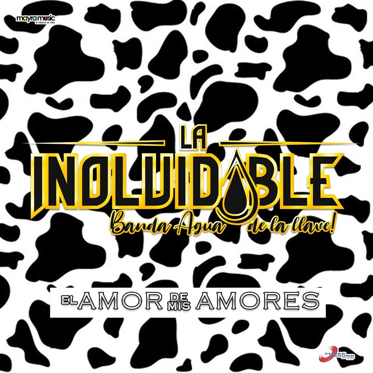 Album cover of Ahora Lloras por Mi
