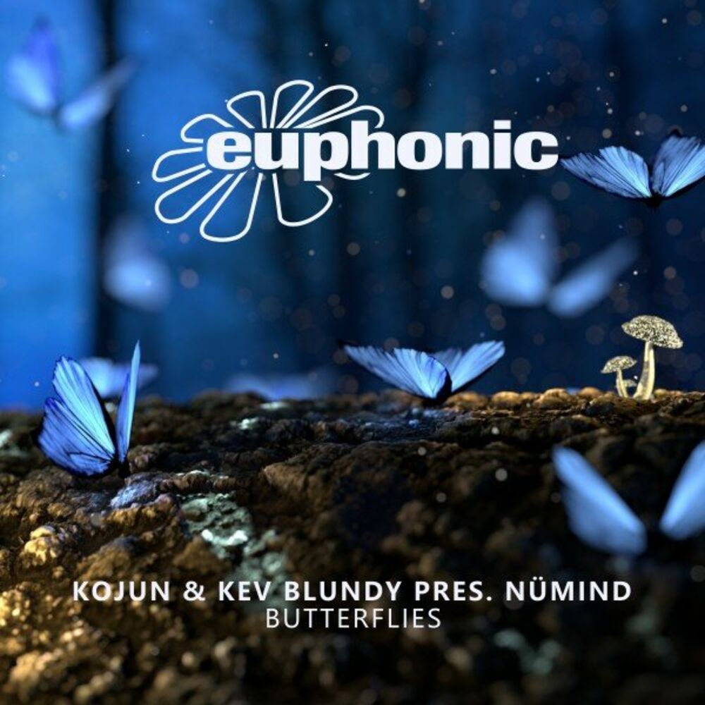Picture of Butterflies