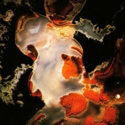 Cover of XYZ