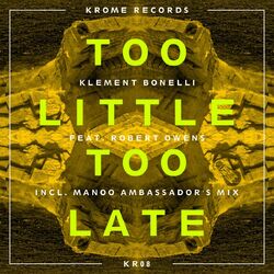 Cover of Too Little Too Late