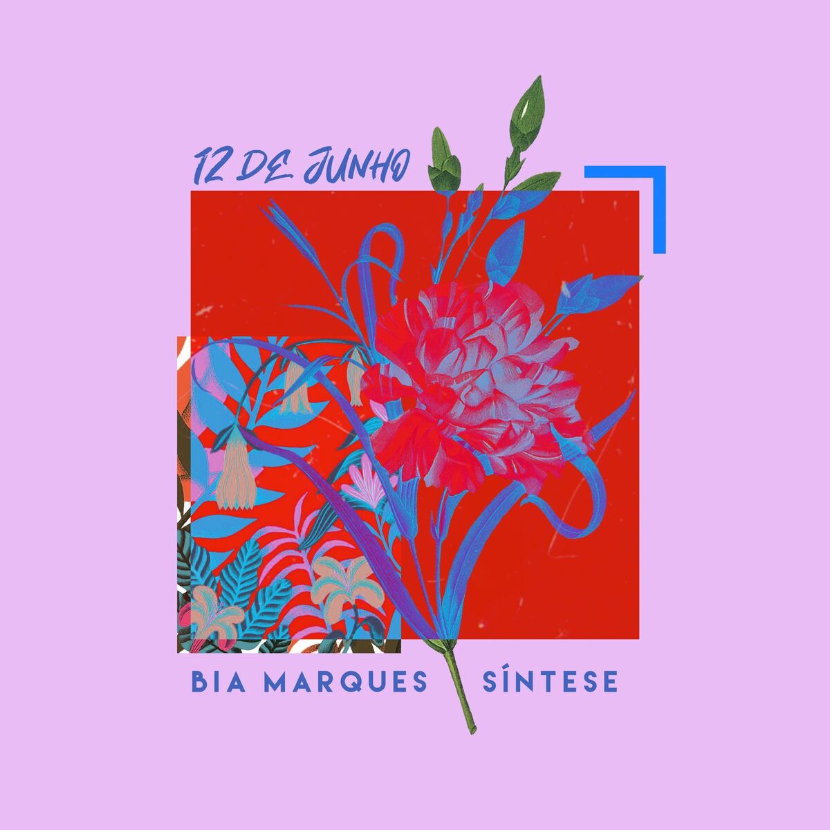 Album cover of Apenas Mais uma de Amor