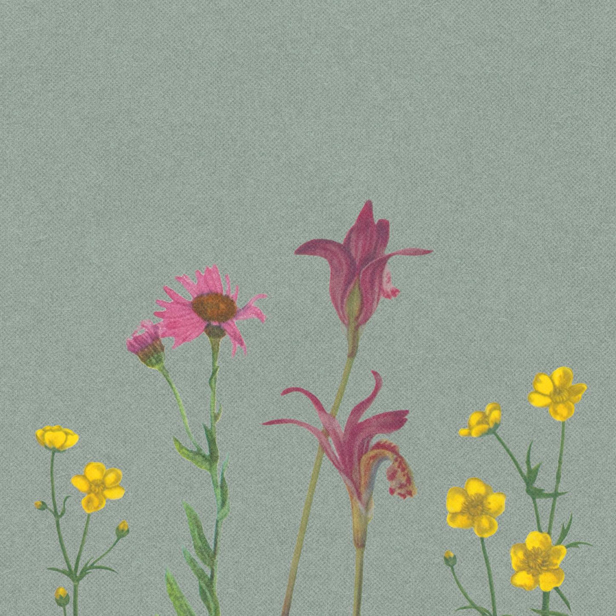 Album cover of April Showers Bring May Flowers