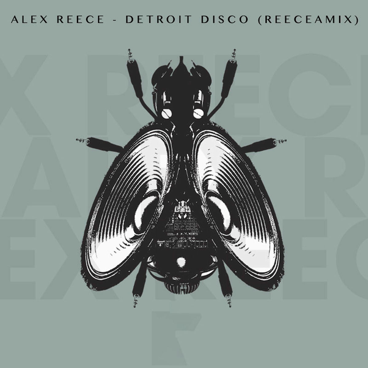 Album cover of Detroit Disco (Reeceamix)