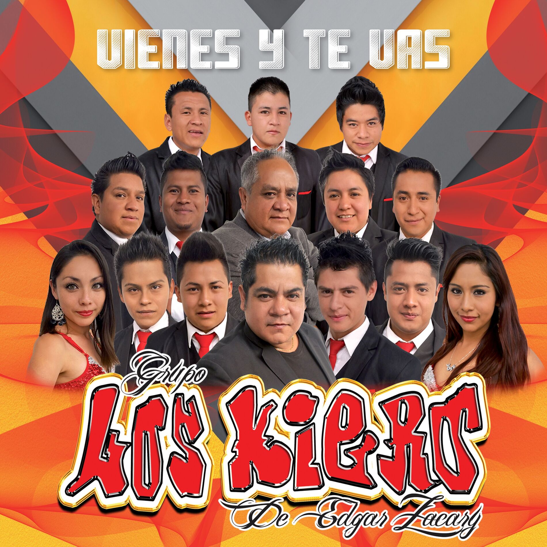Album cover of Vienes Y Te Vas