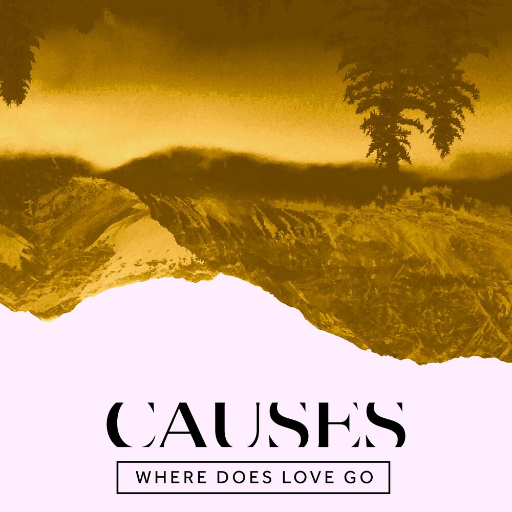 Picture of Where Does Love Go