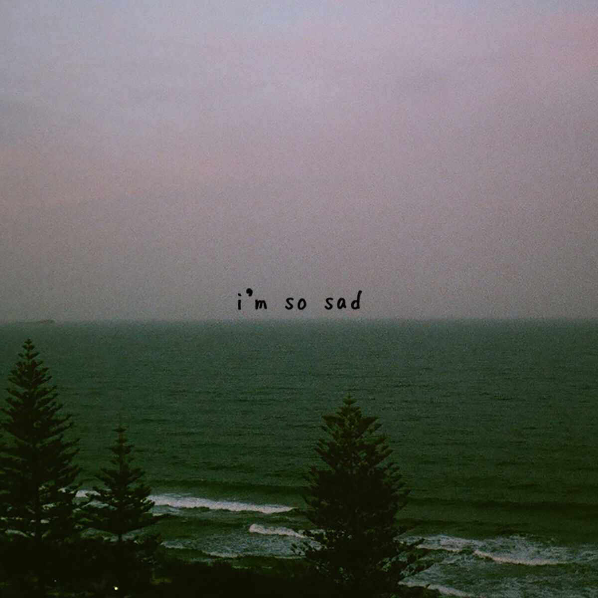 Album cover of i'm so sad