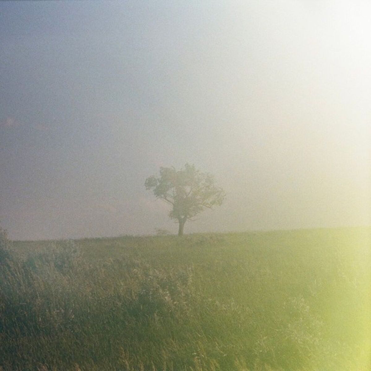 Album cover of I don't want your sacrifice