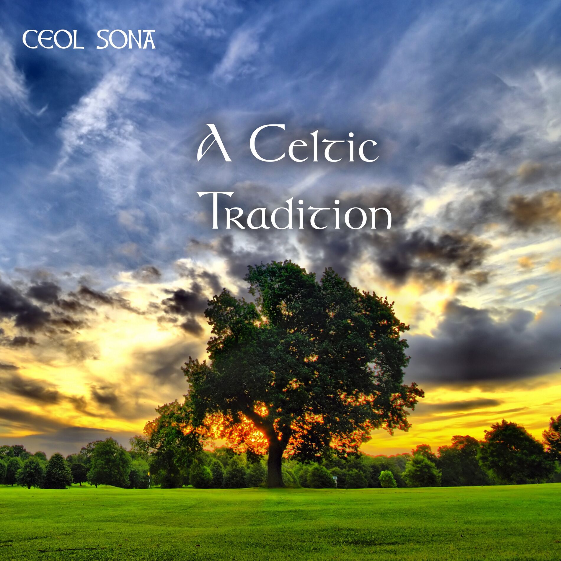 Album cover of A Celtic Tradition
