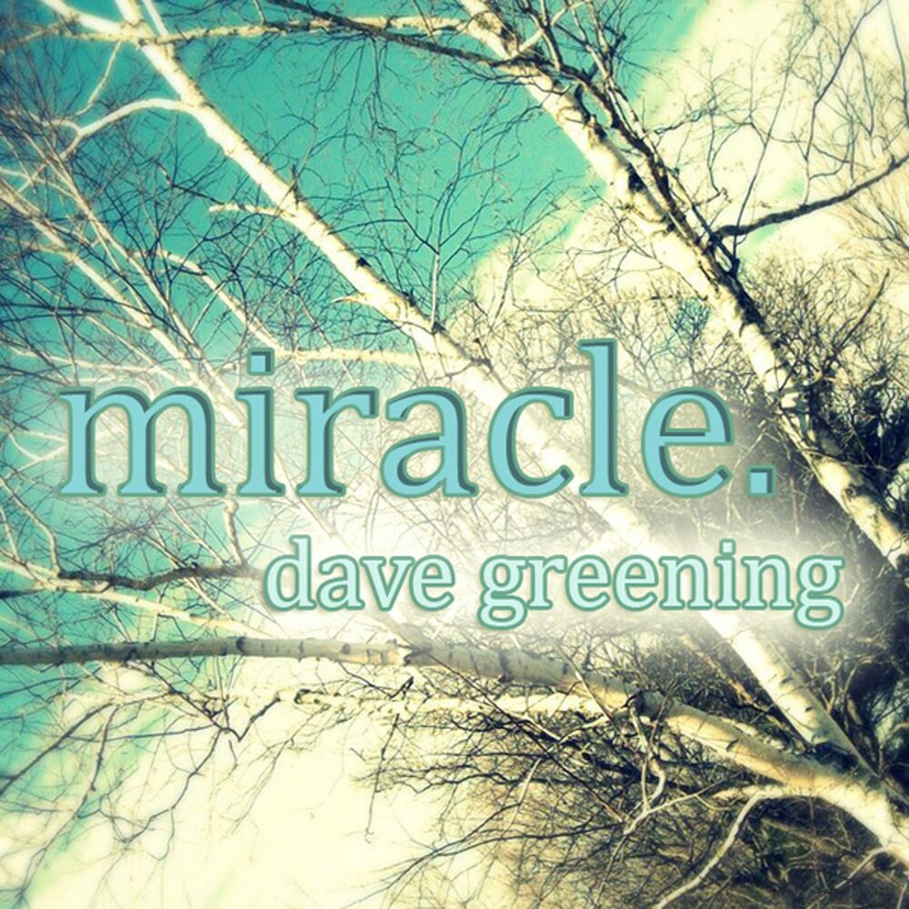 Picture of Miracle