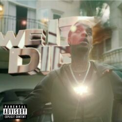 Cover of We Did It