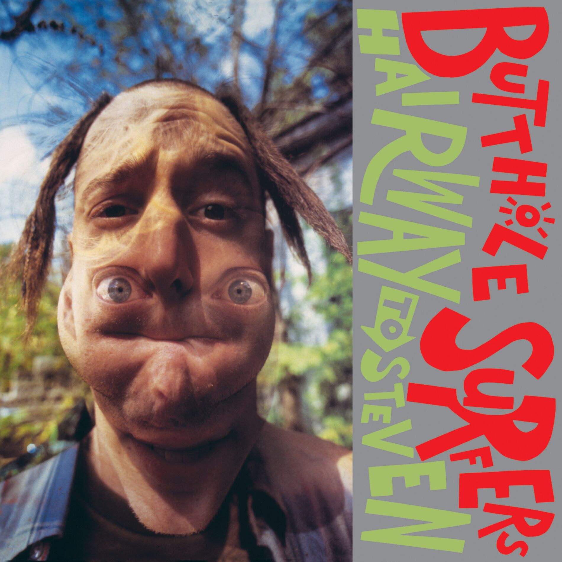 Album cover of Hairway To Steven