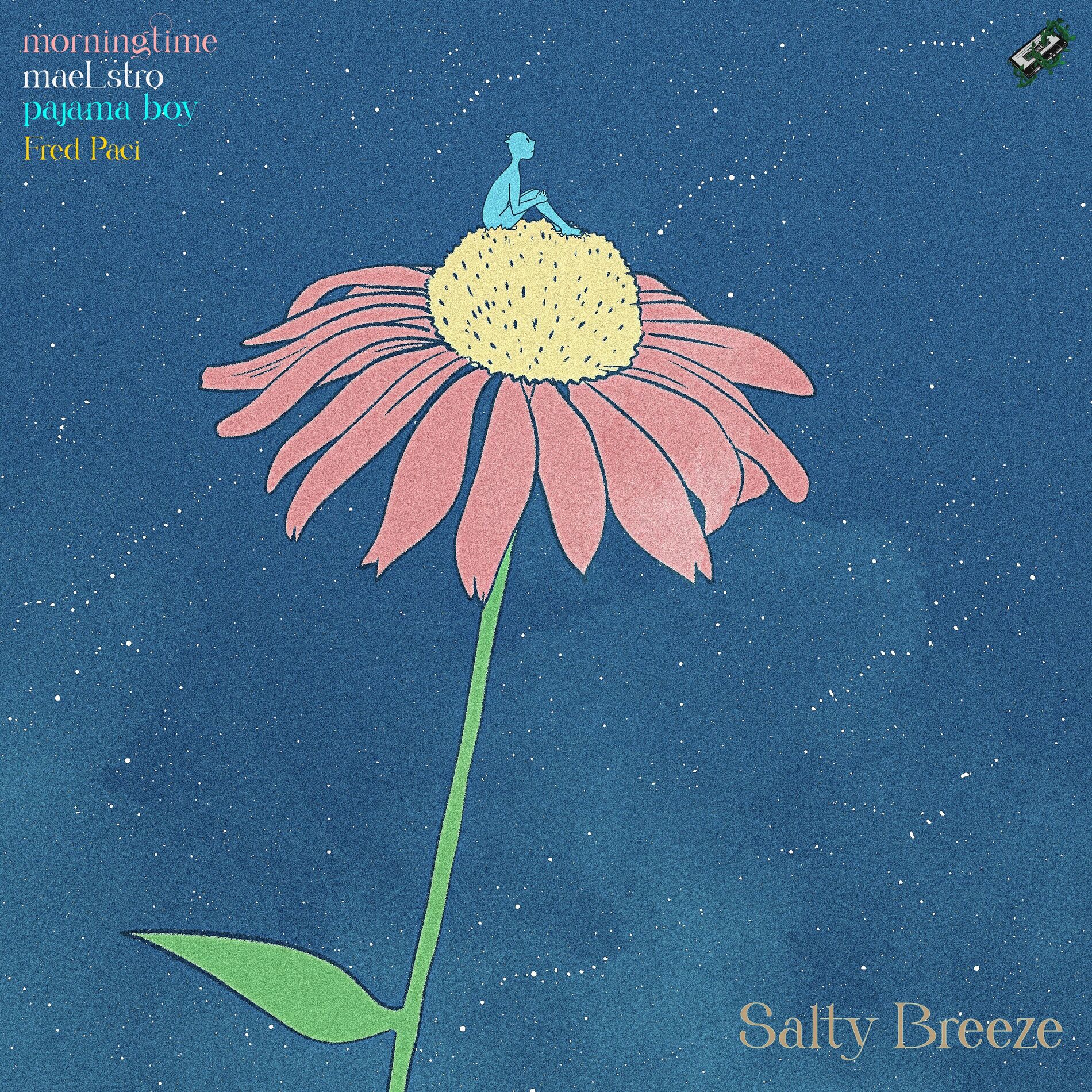Album cover of Salty Breeze