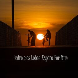 Cover of Espera por mim