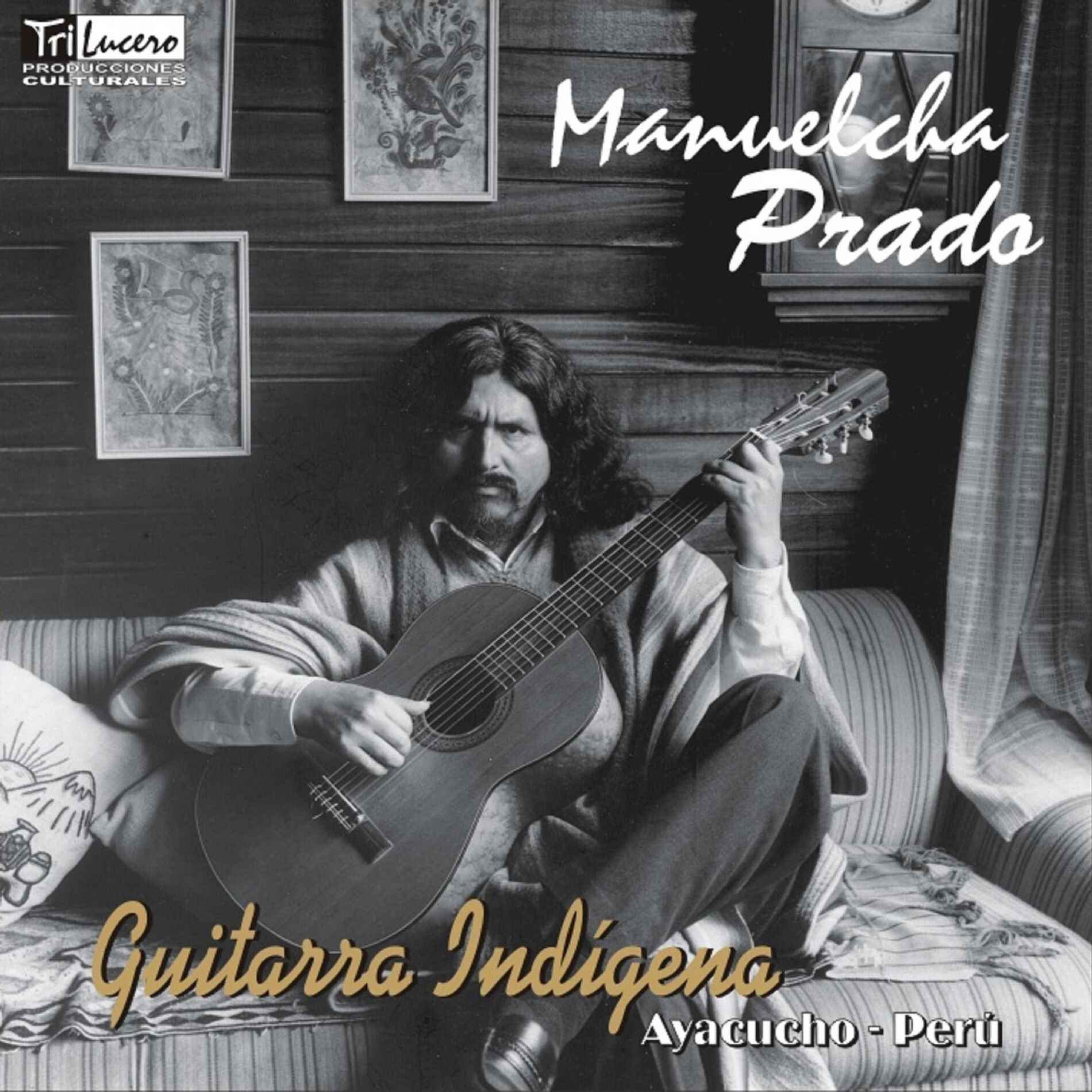 Album cover of Guitarra Indigena