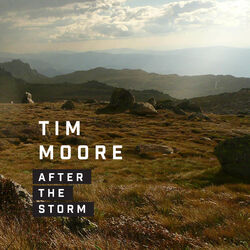 Cover of After the Storm