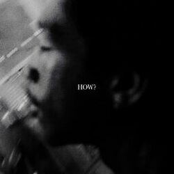 Cover of How?