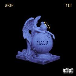 Cover of Halo