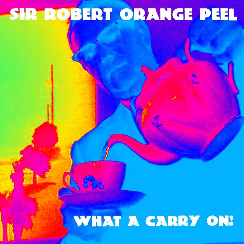 Picture of What a Carry On!