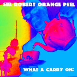 Cover of What a Carry On!