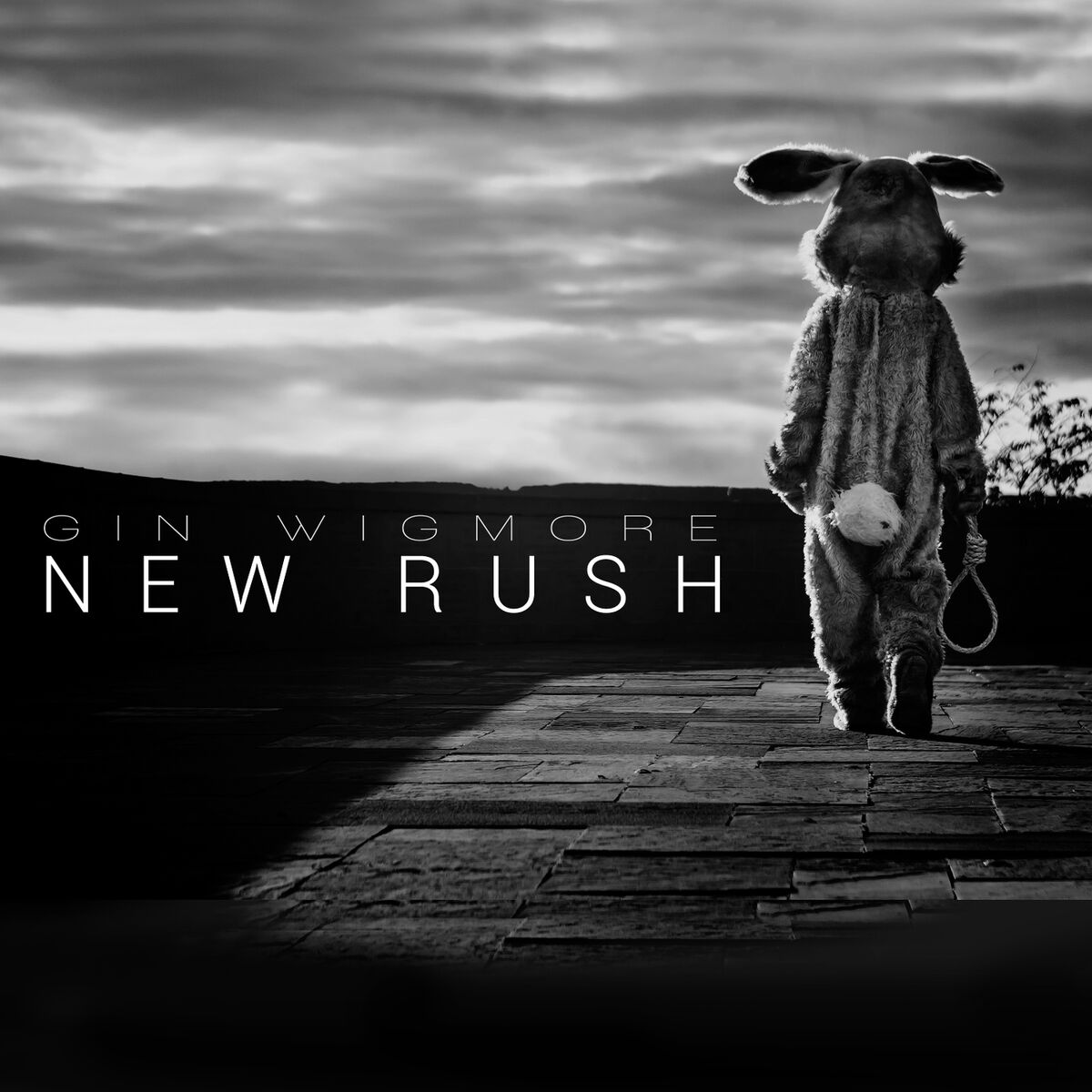 Album cover of New Rush