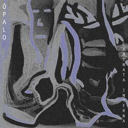 Cover of Caminata Interna