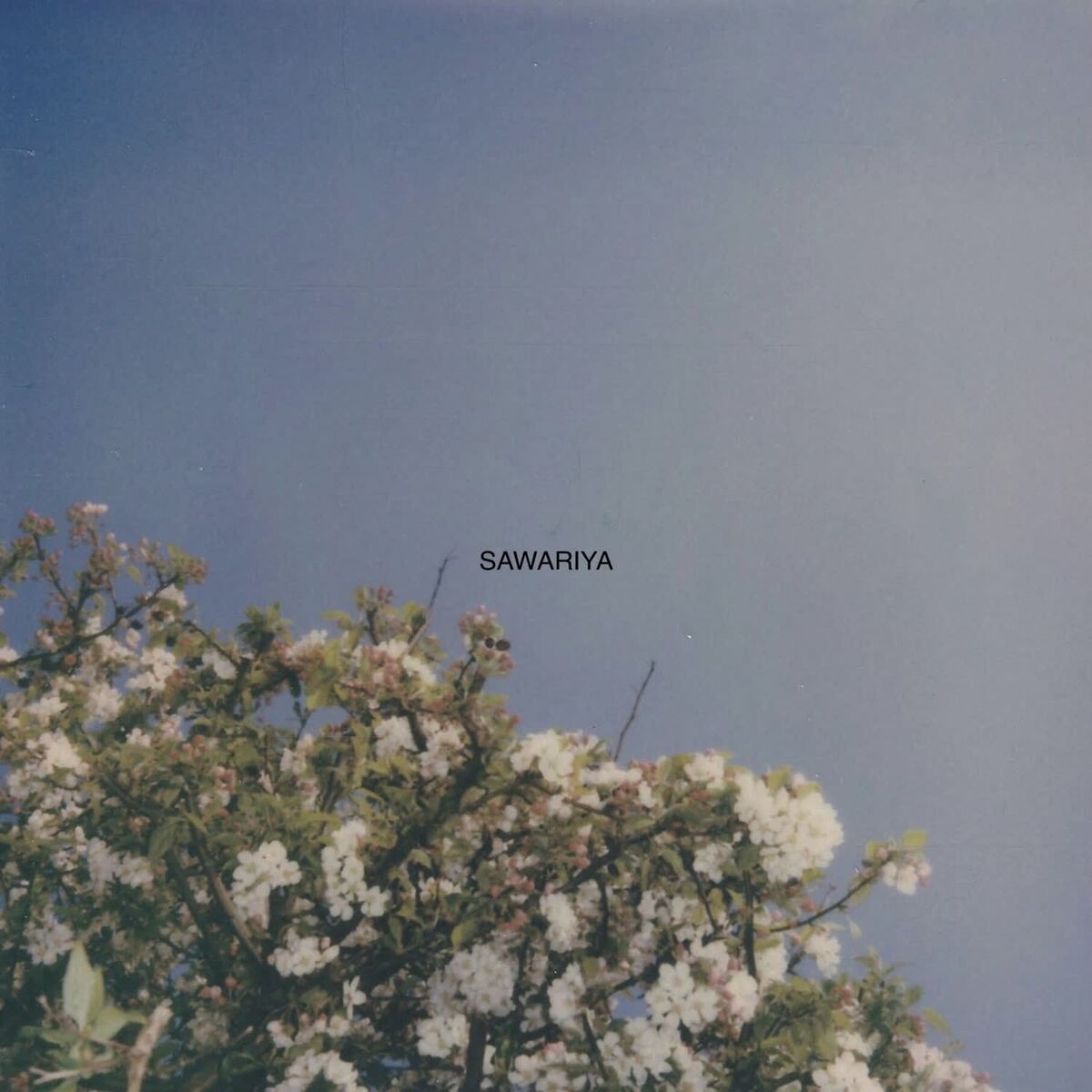 Album cover of Sawariya