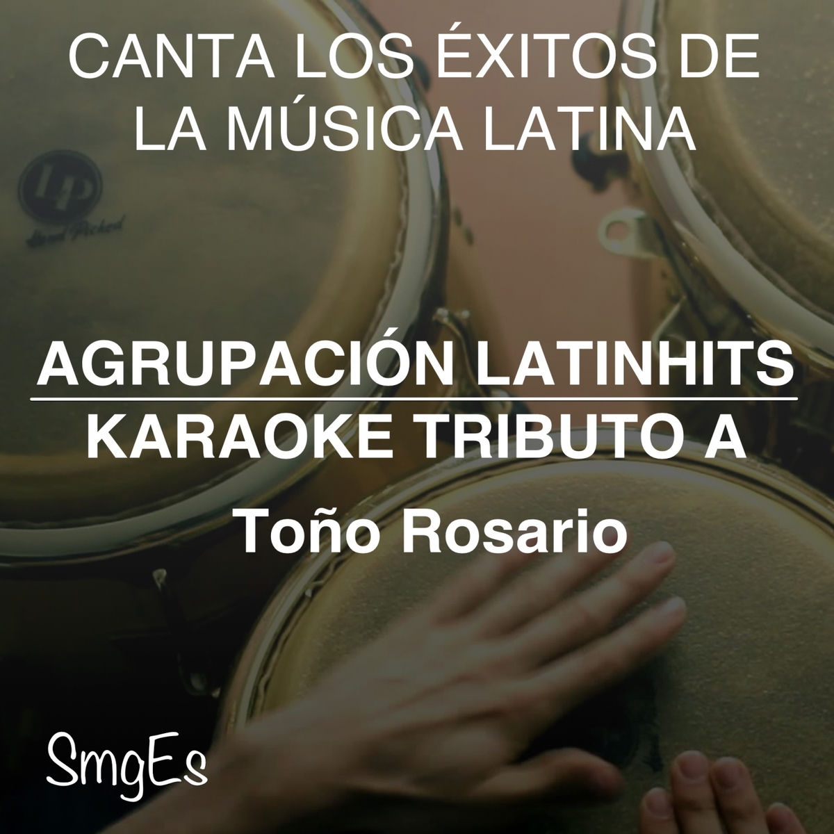 Album cover of Instrumental Karaoke Series: Toño Rosario