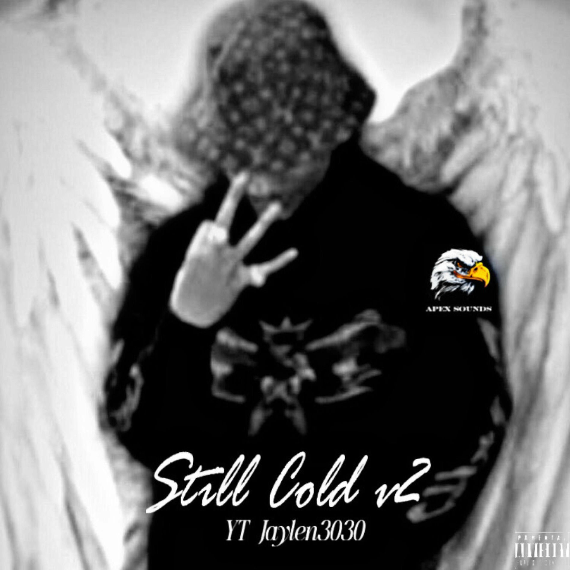 Album cover of STILL COLD v2 (feat. APEX SOUNDS & YT)