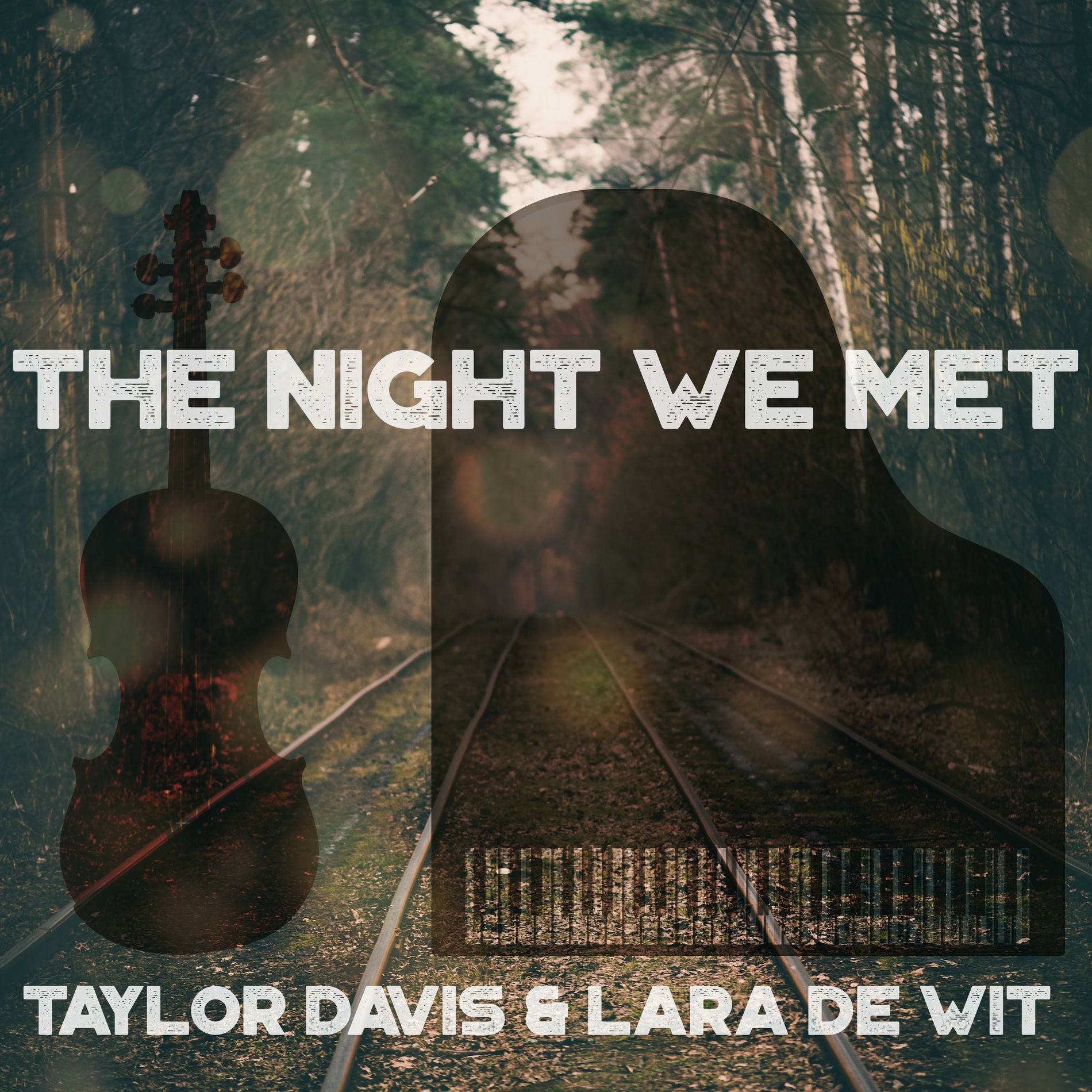 Album cover of The Night We Met (Instrumental)