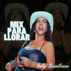 Cover of Mix para Llorar: No Me Enseñaste / Hasta el Fin del Mundo / Te Dejo en Libertad