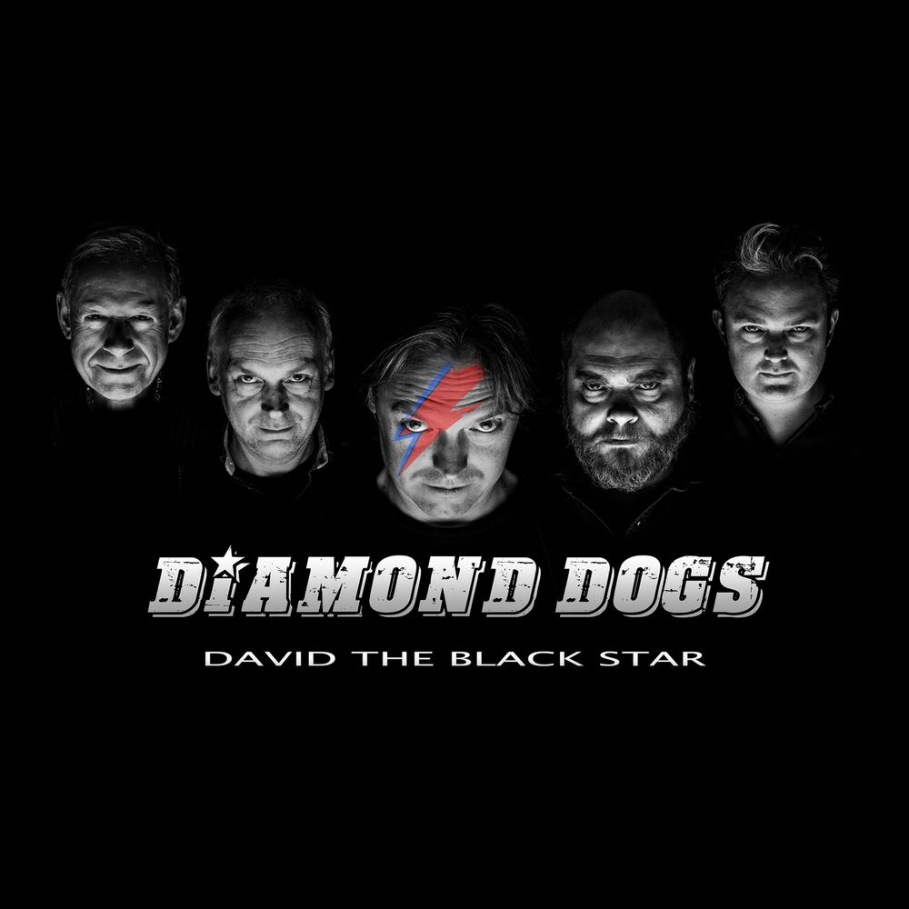 Picture of David the Black Star