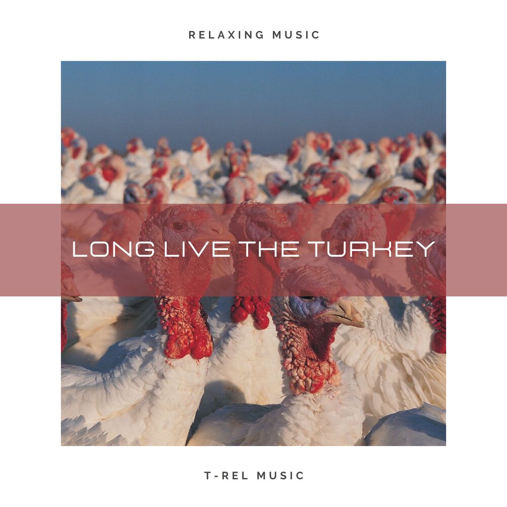 Picture of Long Live The Turkey