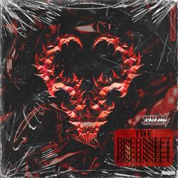 Cover of The Disconnect