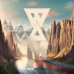 Cover of Cinco (Turu Anasi Remix)
