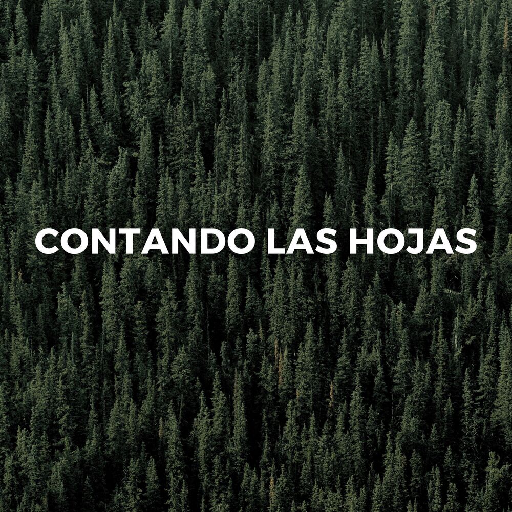 Picture of Contando Las Hojas