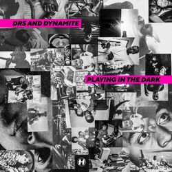 Cover of Playing In The Dark
