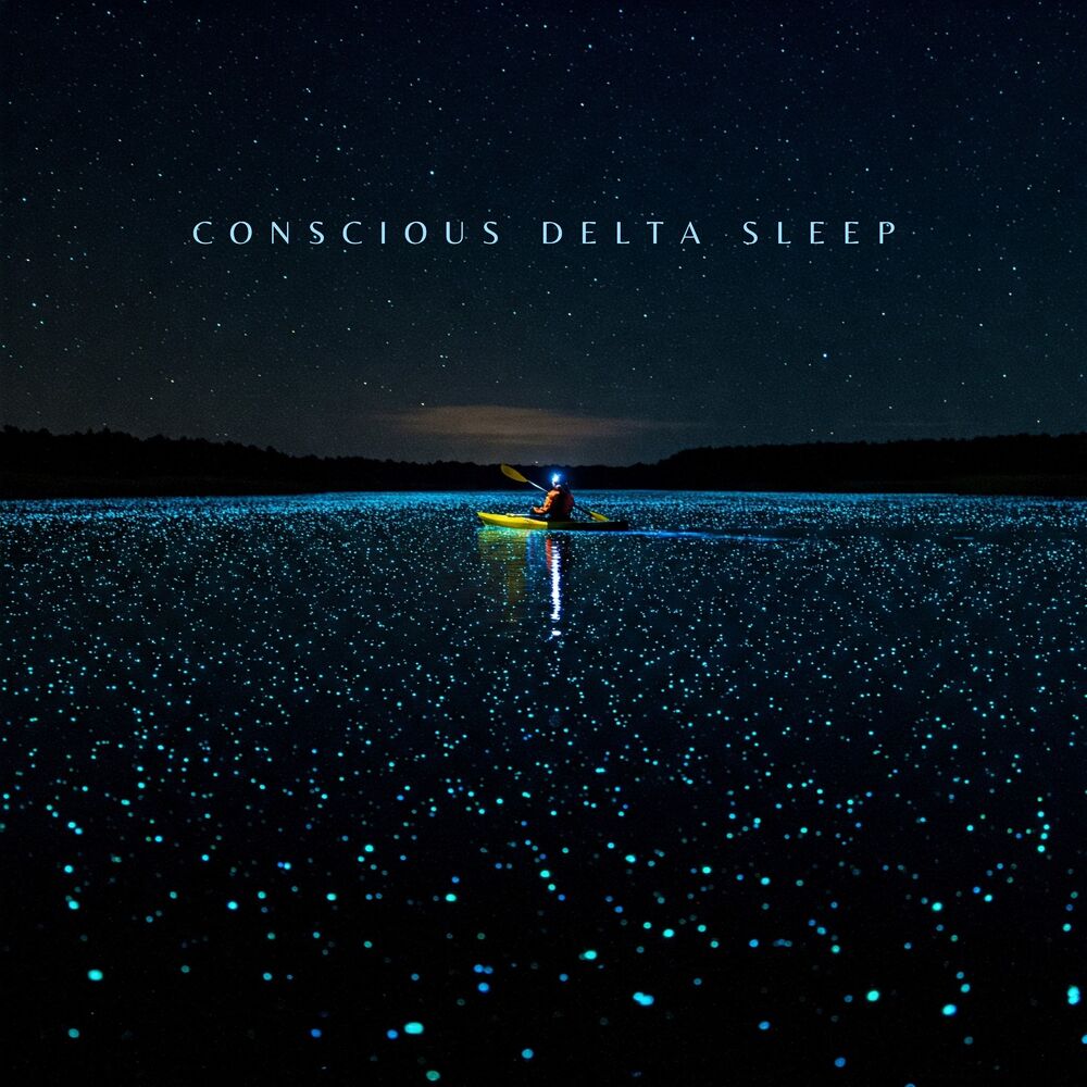 Picture of Conscious Delta Sleep: Meditation with Delta Brainwaves, Full Consciousness, and Deep Sleep