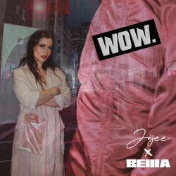Cover of Wow.