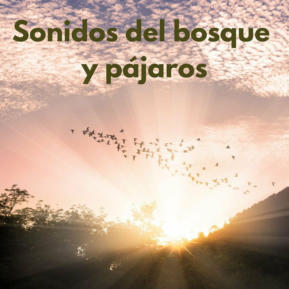 Picture of Sonidos del bosque y pájaros