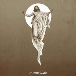 Cover of Come Lord Jesus (Live)
