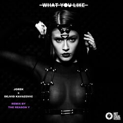 Cover of What You Like