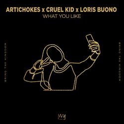 Cover of What You Like