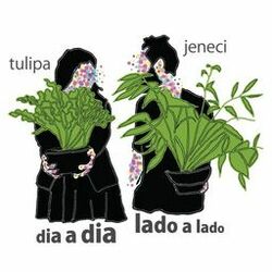 Cover of Dia a Dia, Lado a Lado
