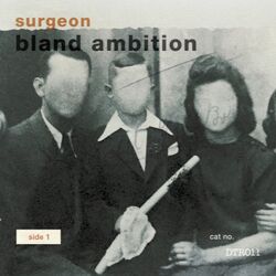 Cover of Bland Ambition