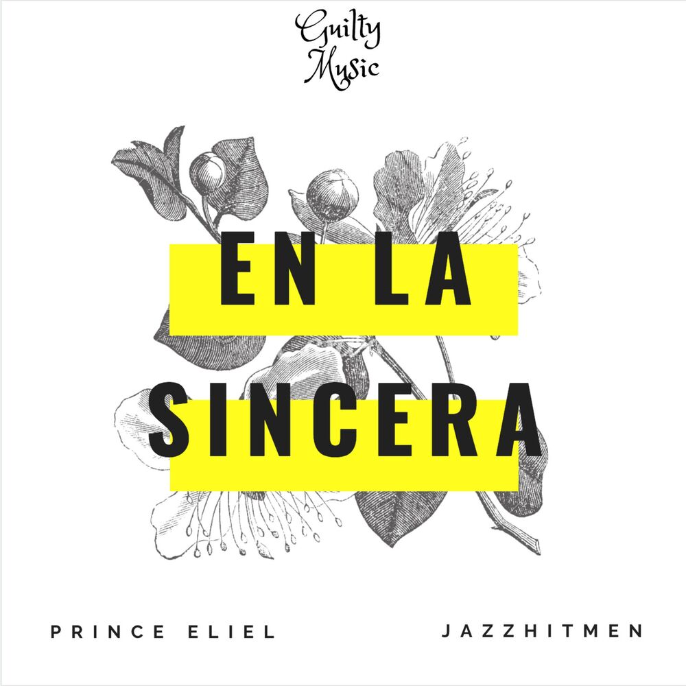 Picture of En la Sincera (feat. JazzHitmen)