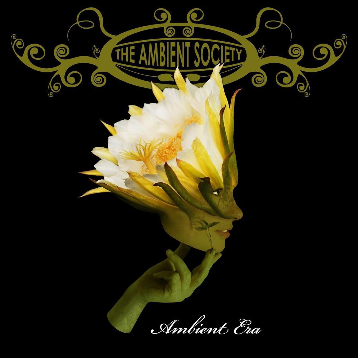 Album cover of Ambient Era