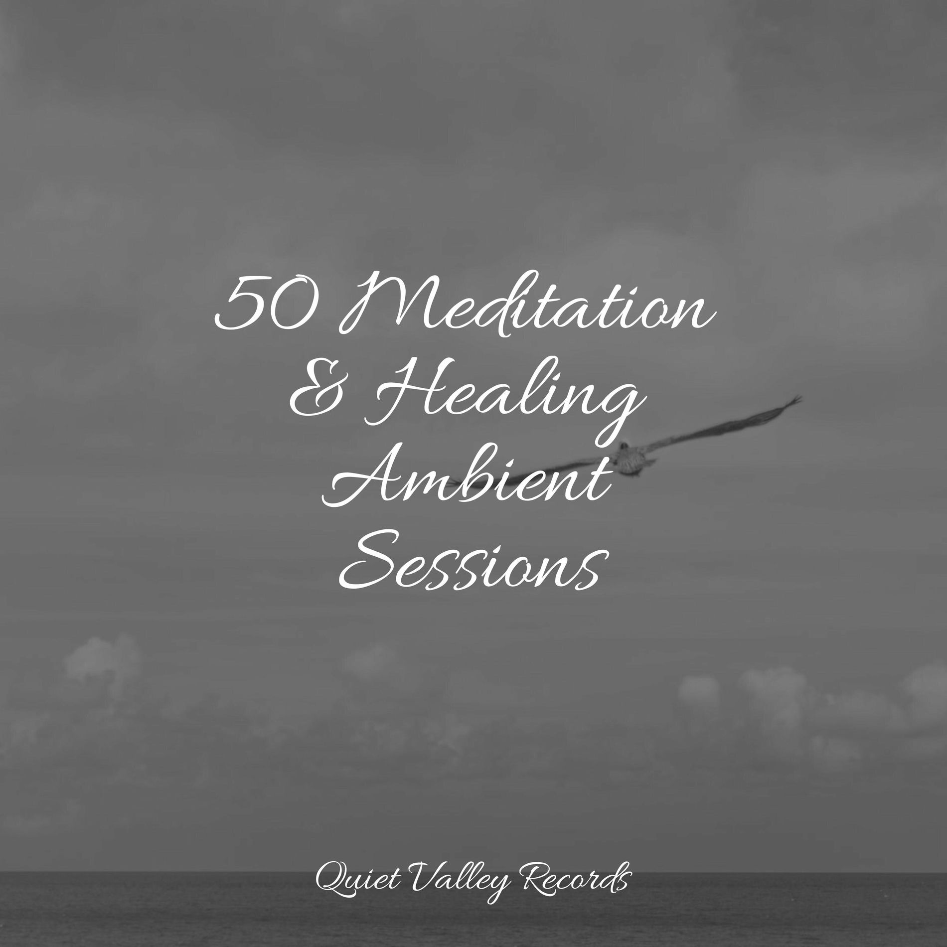 Album cover of 50 Meditation & Healing Ambient Sessions