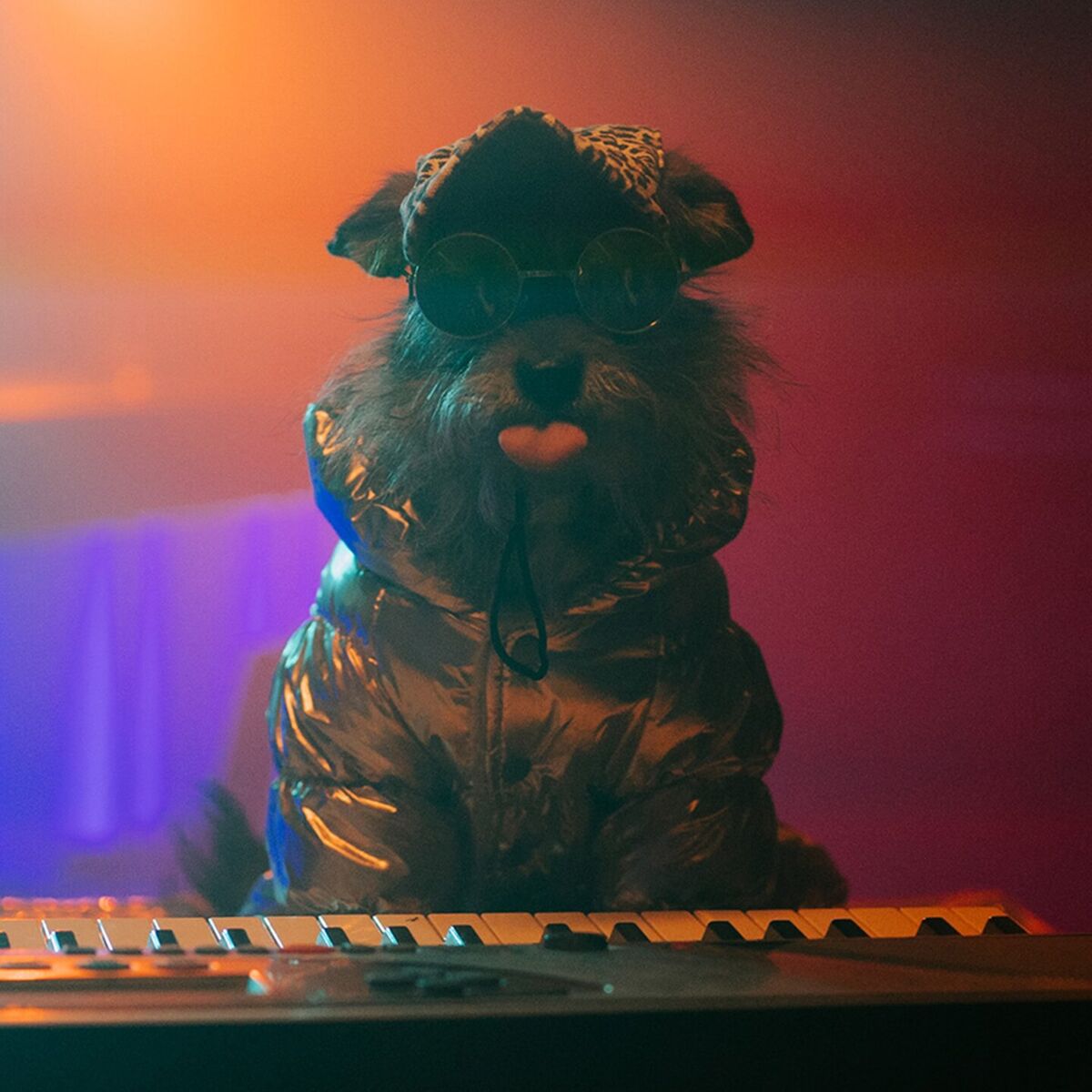 Album cover of Disco Club