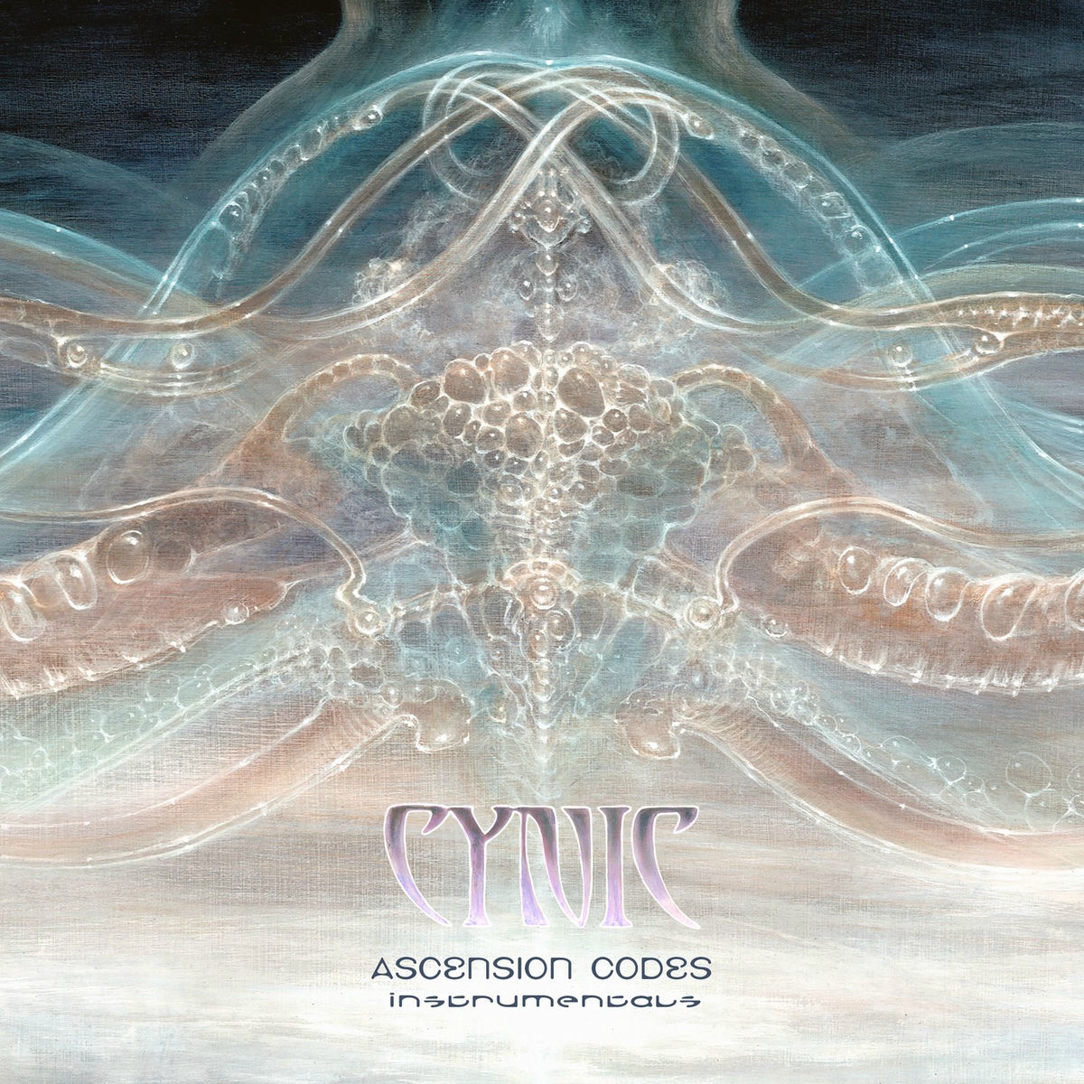 Album cover of Ascension Codes (Instrumentals)
